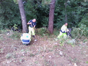 Vol. al lavoro 2